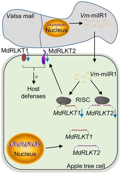 727f6c6018044d21b0ec12b087973d7e.jpg 圖片8-400.jpg