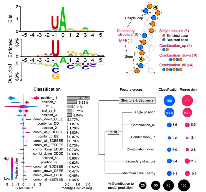 a733a7d0e64b46b5a11ced4a0c23cdcd.jpg 圖片-700.jpg