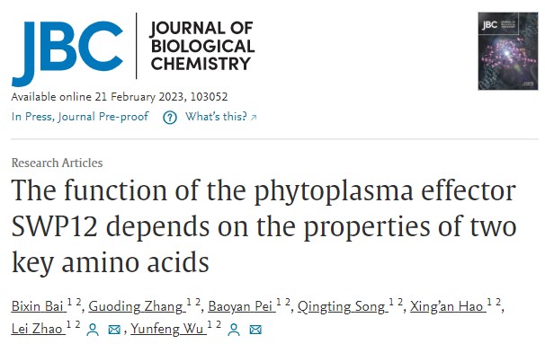 0c1296b8fc8a467b81d62d20fcc14f05.jpg 圖片1.jpg