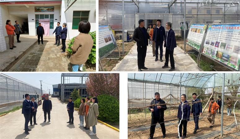 走訪(fǎng)宿舍 參觀(guān)葡萄大棚450.jpg