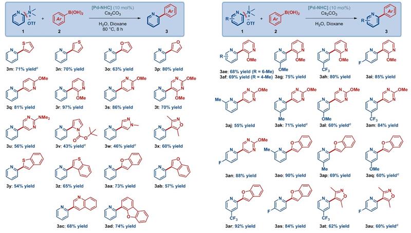 83c7daf9c67d4d3aa39ada6677a2f5f0.jpg 圖片-800.jpg