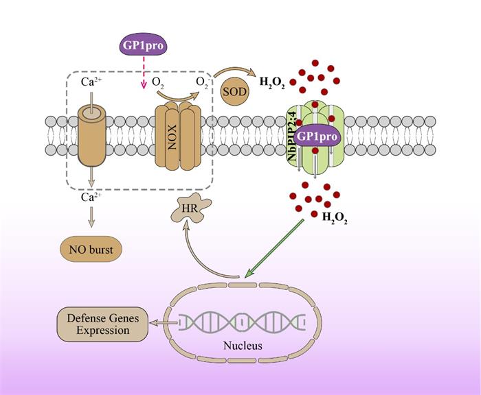 aaa221241d7947429015245bad564f01.jpg 圖片-700.jpg