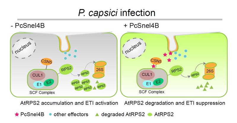 363519215ba944c39b5dc315a412def8.jpg 圖片-800.jpg